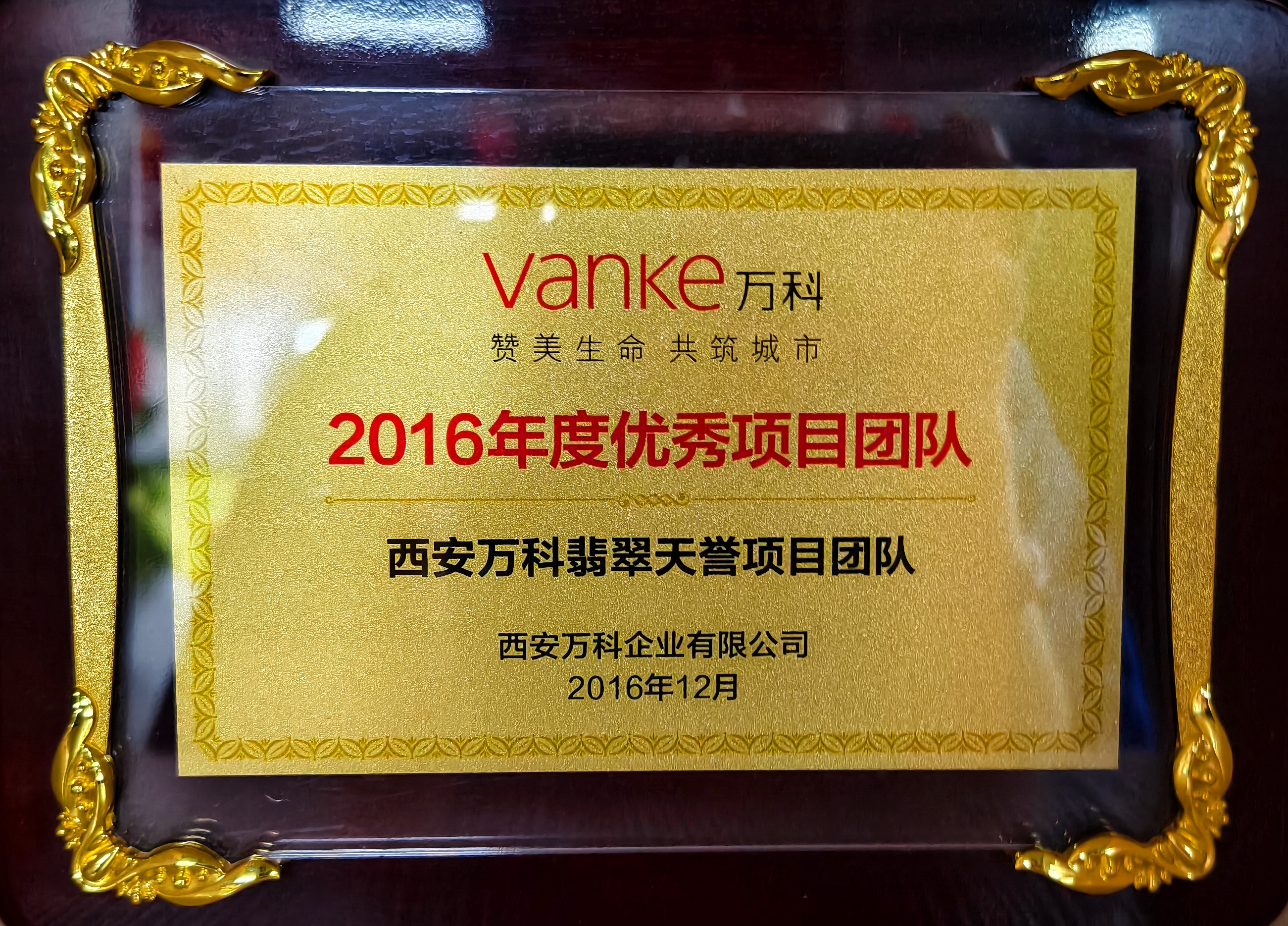 萬科-2016年度優(yōu)秀項目團隊