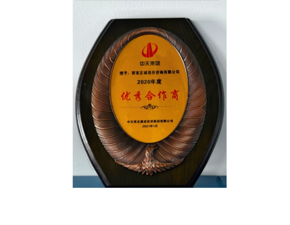 中天集團-2020年度優(yōu)秀合作商