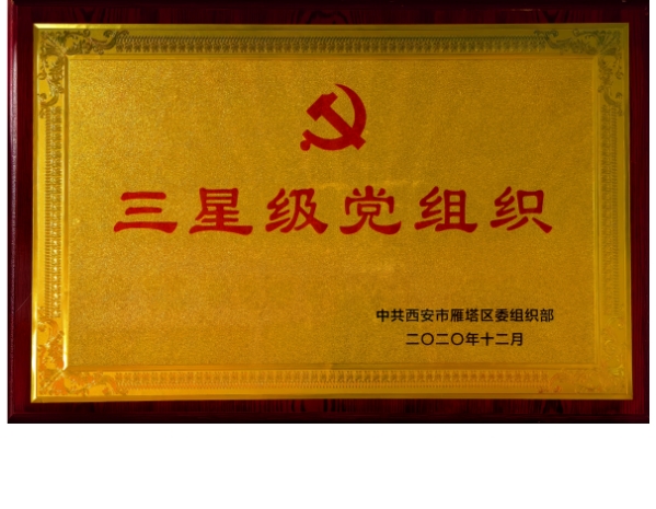 雁塔區(qū)委組織部-三星級黨組織